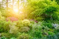 Rola drzewostanów w ochronie przed erozją: Jak wycinka wpływa na ten proces?